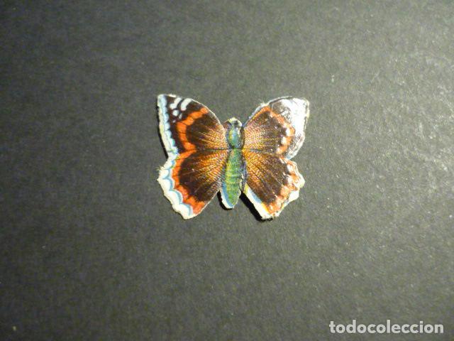 Collectable Antique Stamped Cards: MARIPOSA CROMO TROQUELADO