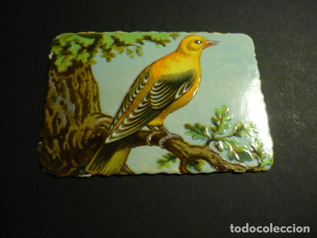 Collectable Antique Stamped Cards: PAJARO CROMO TROQUELADO