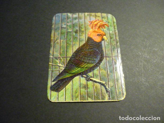 Collectable Antique Stamped Cards: PAJARO CROMO TROQUELADO