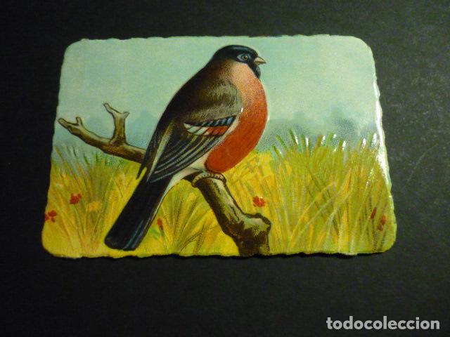 Collectable Antique Stamped Cards: PAJARO CROMO TROQUELADO