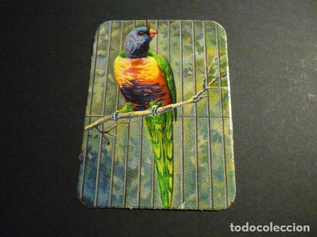 Collectable Antique Stamped Cards: PAJARO CROMO TROQUELADO