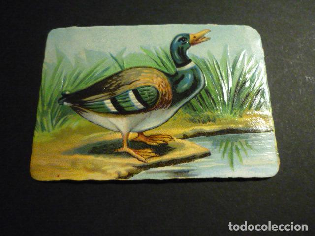 Collectable Antique Stamped Cards: PATO CROMO TROQUELADO