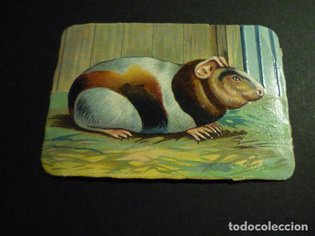 Collectable Antique Stamped Cards: ANIMAL CROMO TROQUELADO