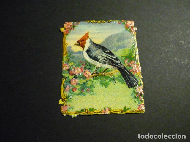 Collezionismo Figurine ritagliate antiche: PAJARO CROMO TROQUELADO