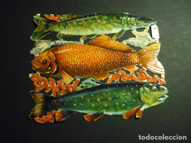 Collezionismo Figurine ritagliate antiche: PECES Y MOLUSCOS CROMO TROQUELADO