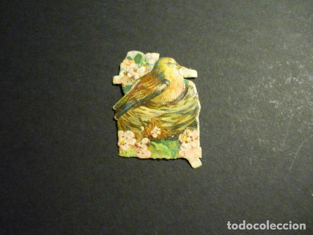 Coleccionismo cromos troquelados antiguos: PAJARO EN NIDO CROMO TROQUELADO