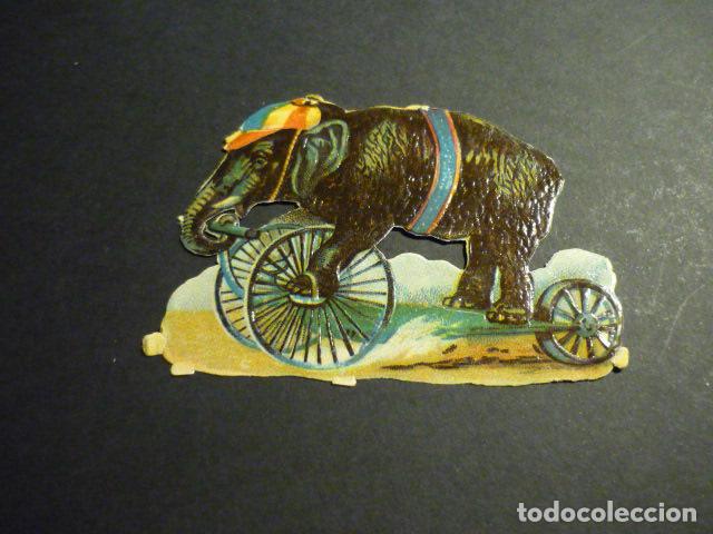 Coleccionismo cromos troquelados antiguos: ELEFANTE EN TRICICLO CROMO TROQUELADO