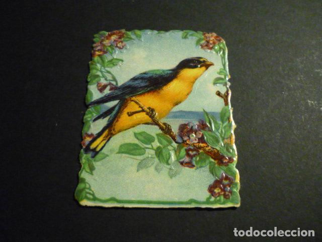 Coleccionismo cromos troquelados antiguos: PAJARO CROMO TROQUELADO