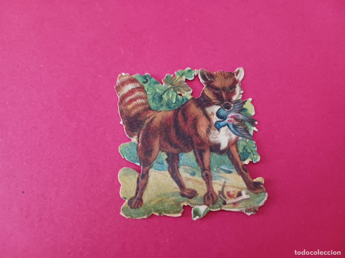 Coleccionismo cromos troquelados antiguos: cromo troquelado, zorra con presa en la boca, sin nombre comercial