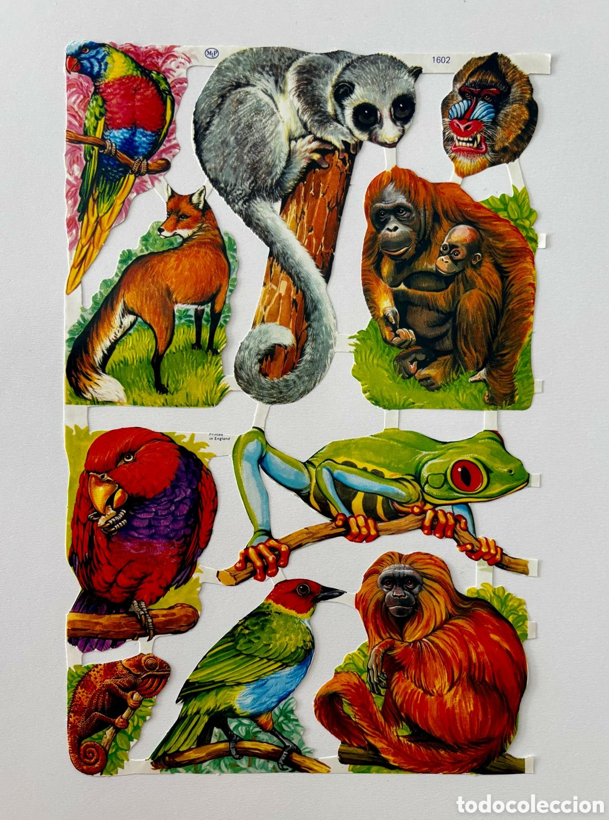 Coleccionismo cromos troquelados antiguos: L&aacute;mina CROMOS TROQUELADOS ingleses MLP 1602 transportes animales NUEVA colecci&oacute;n infantiles ni&ntilde;as