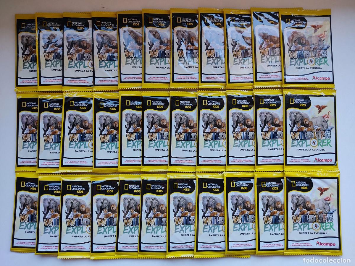 Coleccionismo cromos troquelados antiguos: 33 paquetes de cromos sin abrir de Wildlife Explorer National Geographic Kids Alcampo