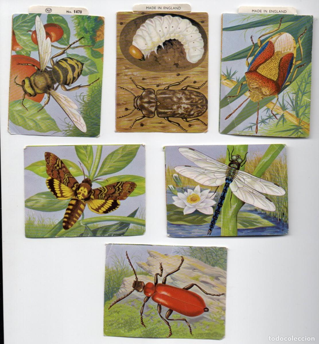 Coleccionismo cromos troquelados antiguos: 6 ANTIGUOS CROMOS TROQUELADOS, INSECTOS EN RELIEVE. INGLESES. LAMINA 1470 MLP, SUELTOS.