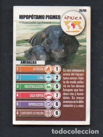 Coleccionismo cromos troquelados antiguos: ANTIGUO CROMO BOLLYCAO, ACCION RESCATE - HIPOPOTAMO PIGMEO. 25/55
