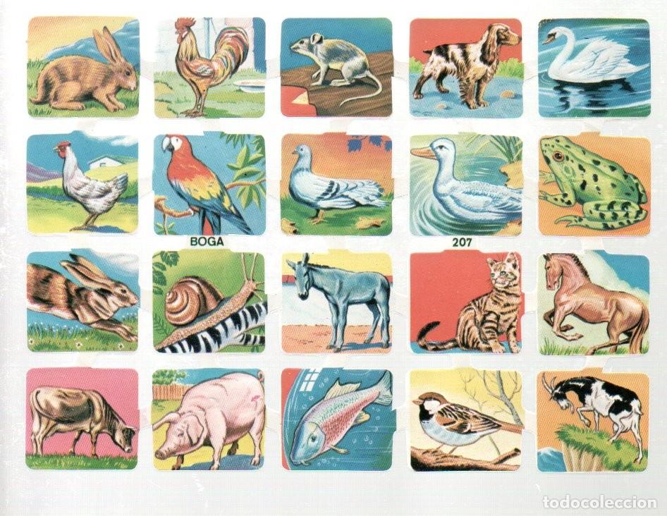 Coleccionismo cromos troquelados antiguos: CROMOS TROQUELADOS ORIGINALES, - LAMINA BOGA 207 - CON BRILLO Y RELIEVE. ORIGINAL - COMPLETA