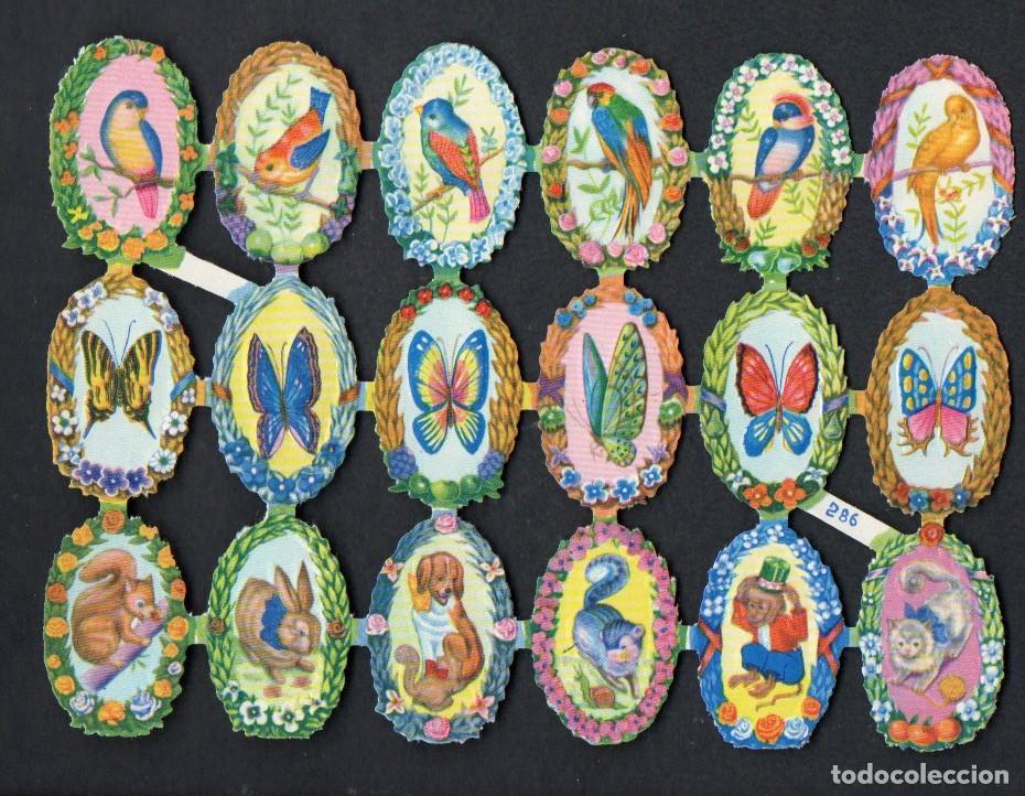 Coleccionismo cromos troquelados antiguos: CROMOS TROQUELADOS ORIGINALES, - ANTIGUA LAMINA FB 286 - CON BRILLO Y RELIEVE. COMPLETA.