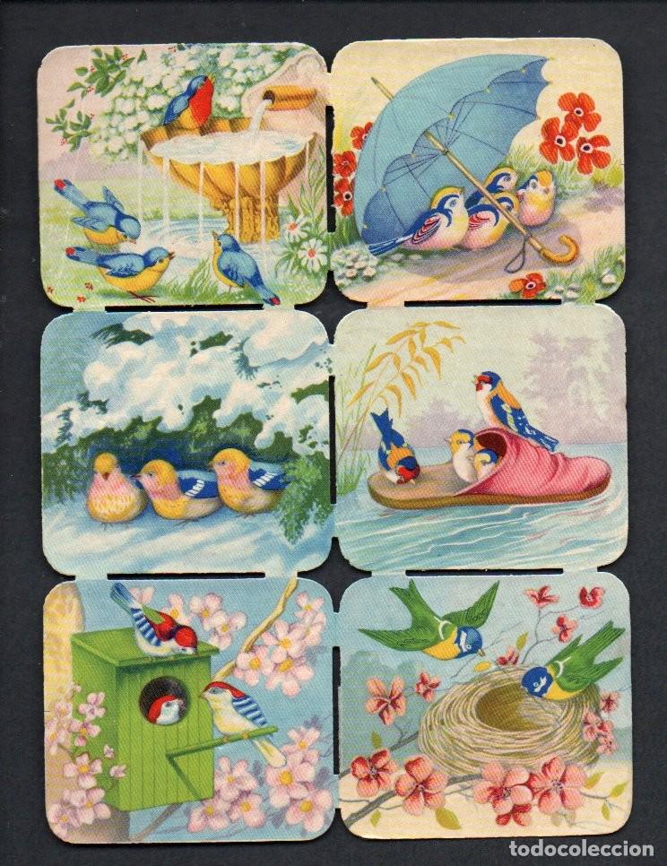 Coleccionismo cromos troquelados antiguos: CROMOS TROQUELADOS ORIGINALES, - ANTIGUA LAMINA PAJARITOS - CON BRILLO Y RELIEVE. COMPLETA.