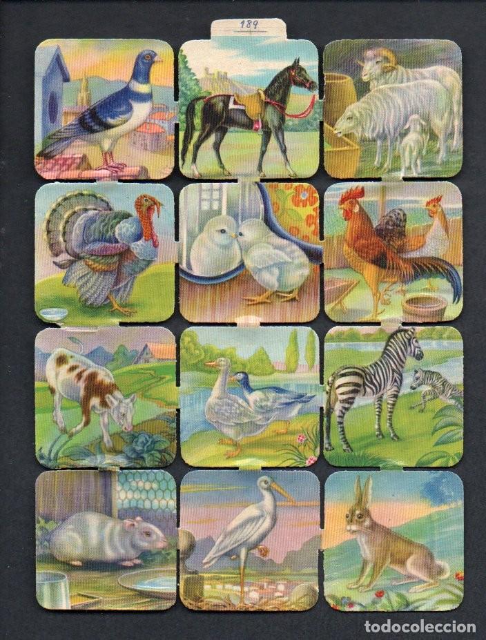 Coleccionismo cromos troquelados antiguos: CROMOS TROQUELADOS ORIGINALES, - ANTIGUA LAMINA 189 - CON BRILLO Y RELIEVE. COMPLETA.