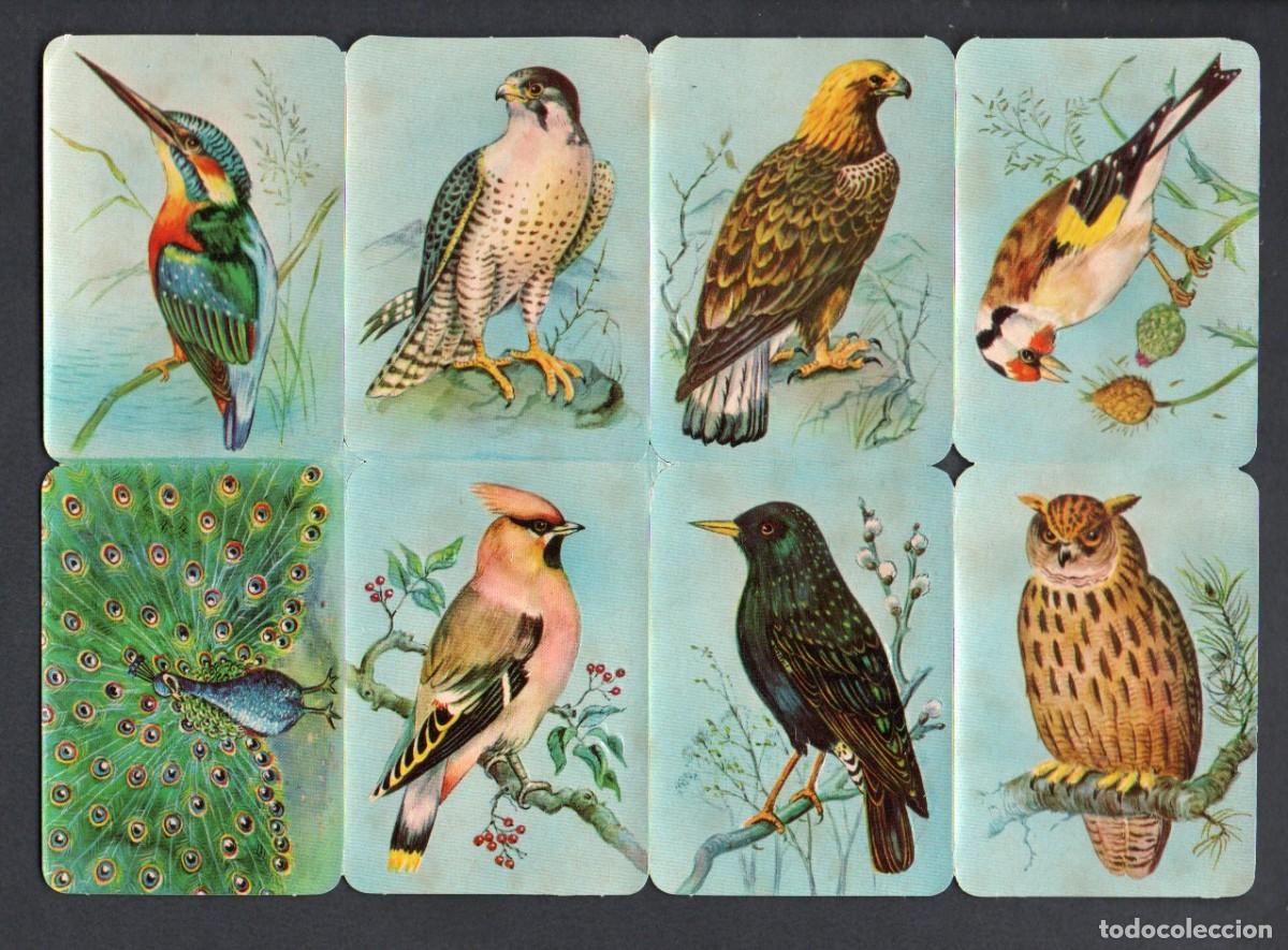 Coleccionismo cromos troquelados antiguos: CROMOS TROQUELADOS ORIGINALES, - ANTIGUA LAMINA KRUGER 99/2 (2) - CON BRILLO Y RELIEVE. COMPLETA.