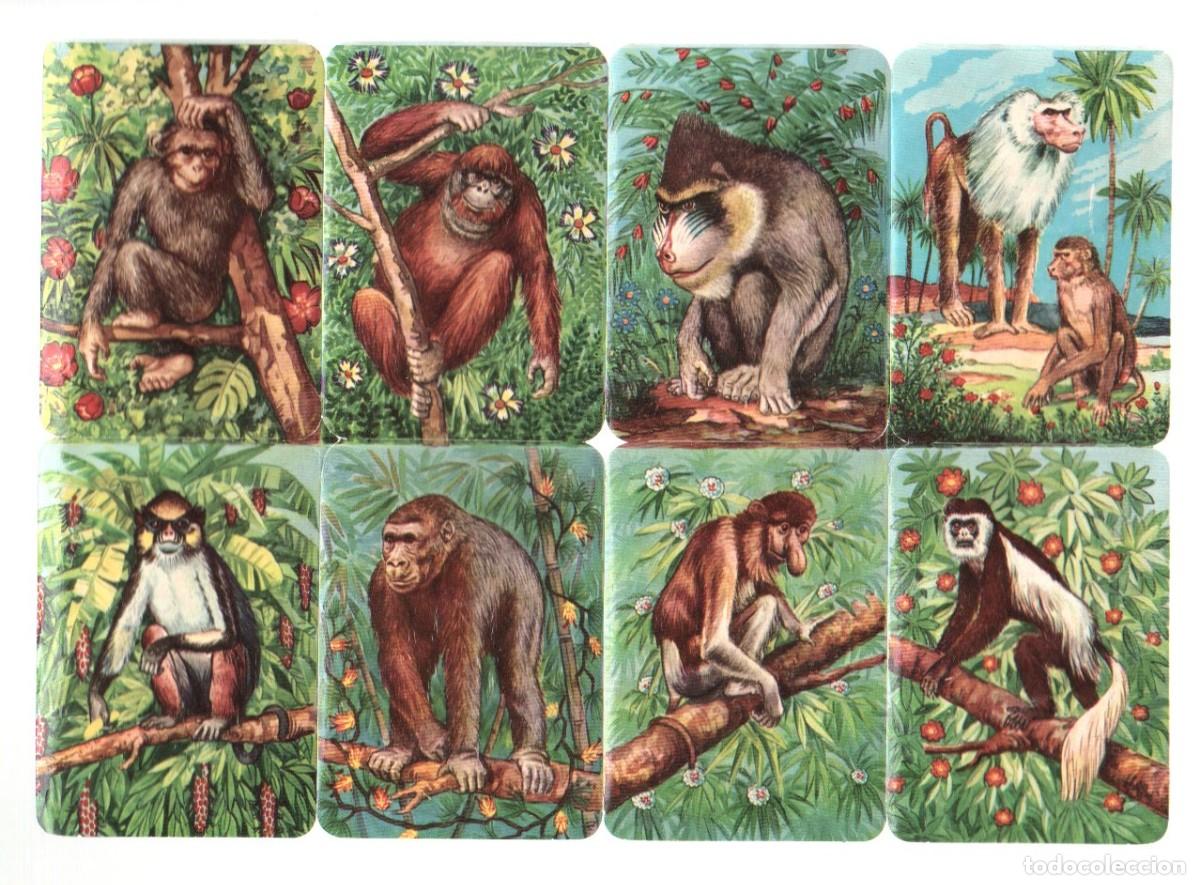 Coleccionismo cromos troquelados antiguos: CROMOS TROQUELADOS ORIGINALES, - ANTIGUA LAMINA KRUGER 99/5 - CON BRILLO Y RELIEVE. COMPLETA.