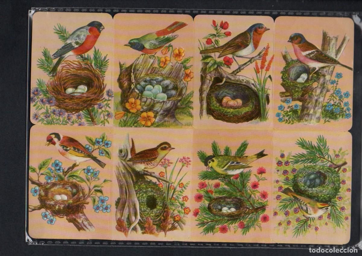 Coleccionismo cromos troquelados antiguos: CROMOS TROQUELADOS ORIGINALES, - ANTIGUA LAMINA KRUGER 99/13 - CON BRILLO Y RELIEVE. COMPLETA.