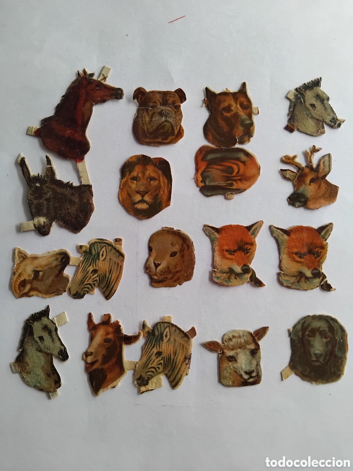 Coleccionismo cromos troquelados antiguos: Cromos troquelados animales