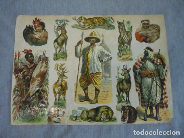 Collectable Antique Stamped Cards: ANIMALES Y TIPOS DE AFRICA ASIA COMPOSICION CROMOS TROQUELADOS SIGLO XIX SOBRE CARTULINA 43 X 31 CM