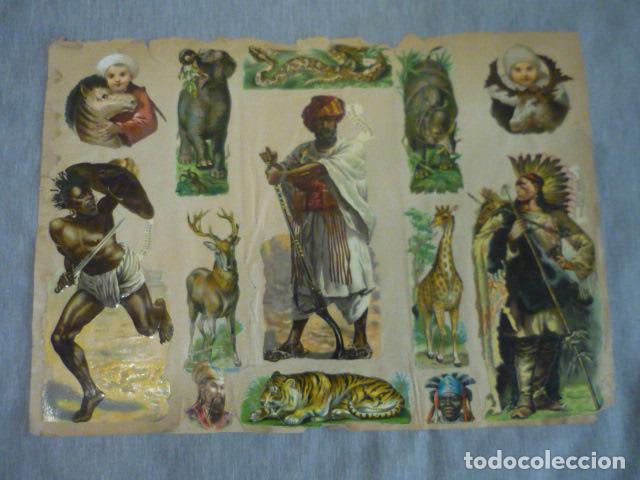 Collectable Antique Stamped Cards: ANIMALES Y TIPOS DE AFRICA ASIA COMPOSICION CROMOS TROQUELADOS SIGLO XIX SOBRE CARTULINA 43 X 31 CM