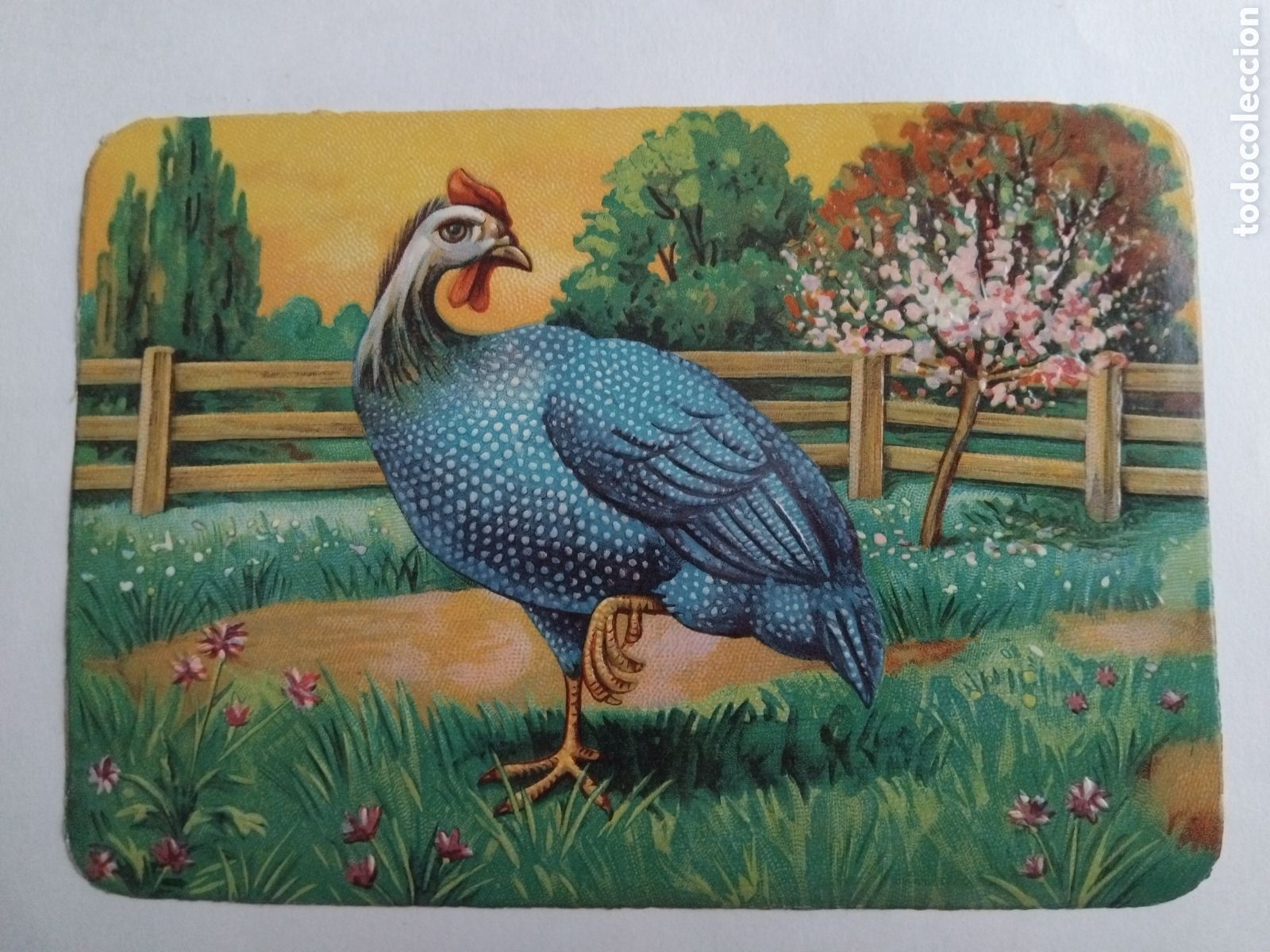 Coleccionismo cromos troquelados antiguos: Cromo troquelado ave