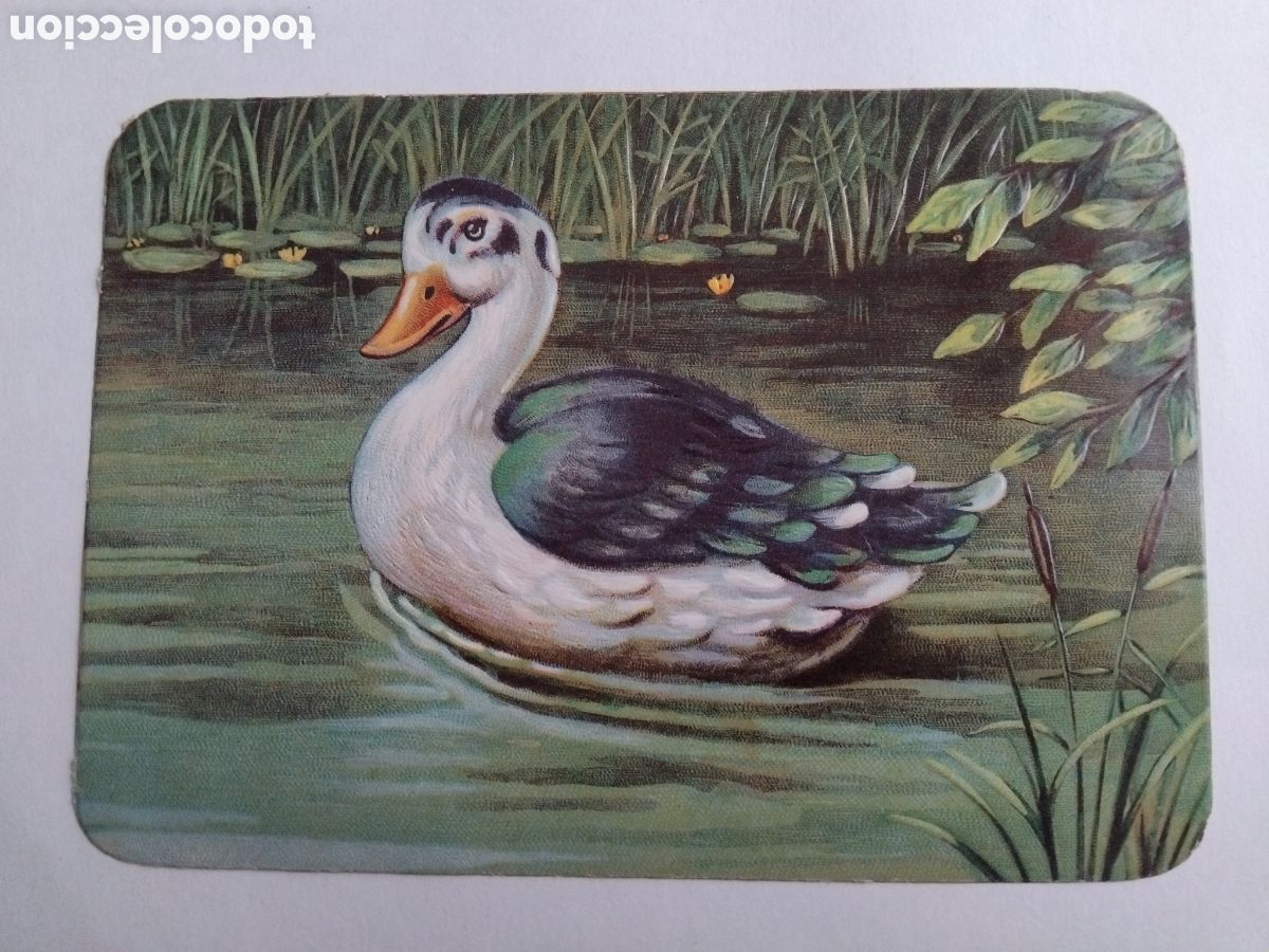 Coleccionismo cromos troquelados antiguos: Cromo troquelado ave