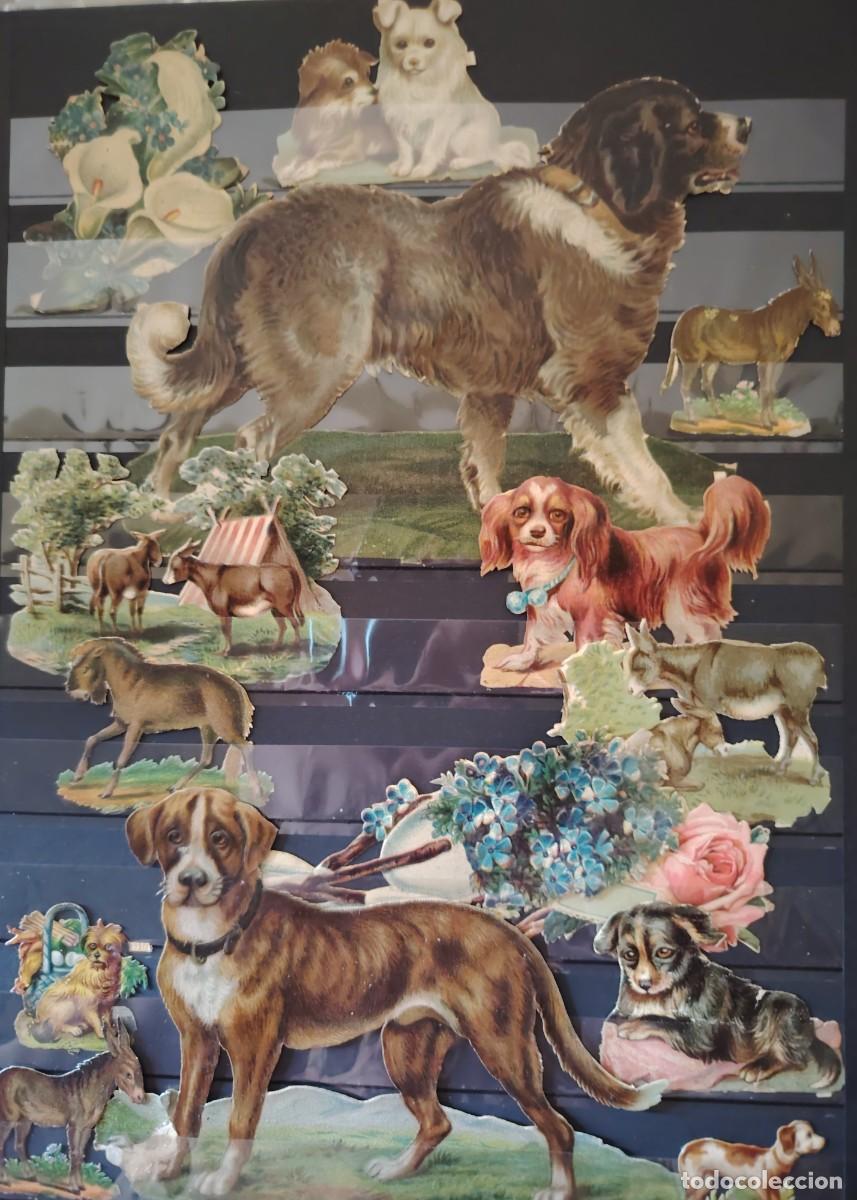 Collectable Antique Stamped Cards: RARO ANTIGUO LOTE DE CROMOS ISABELINOS LOTE 15
