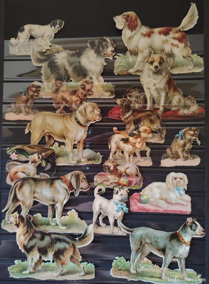 Collectable Antique Stamped Cards: RARO ANTIGUO LOTE DE CROMOS ISABELINOS LOTE 16