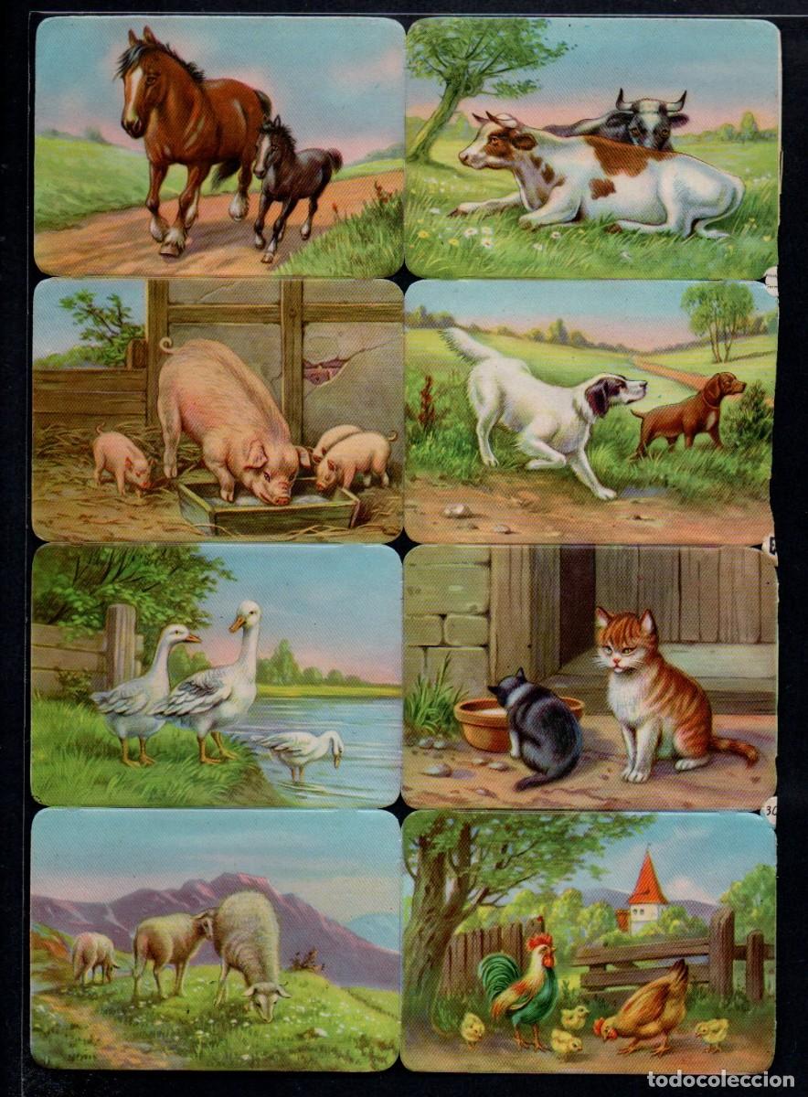 Coleccionismo cromos troquelados antiguos: CROMOS TROQUELADOS - ANTIGUA LAMINA EAS 3011 - GERMANY, 17 X 24 CM.