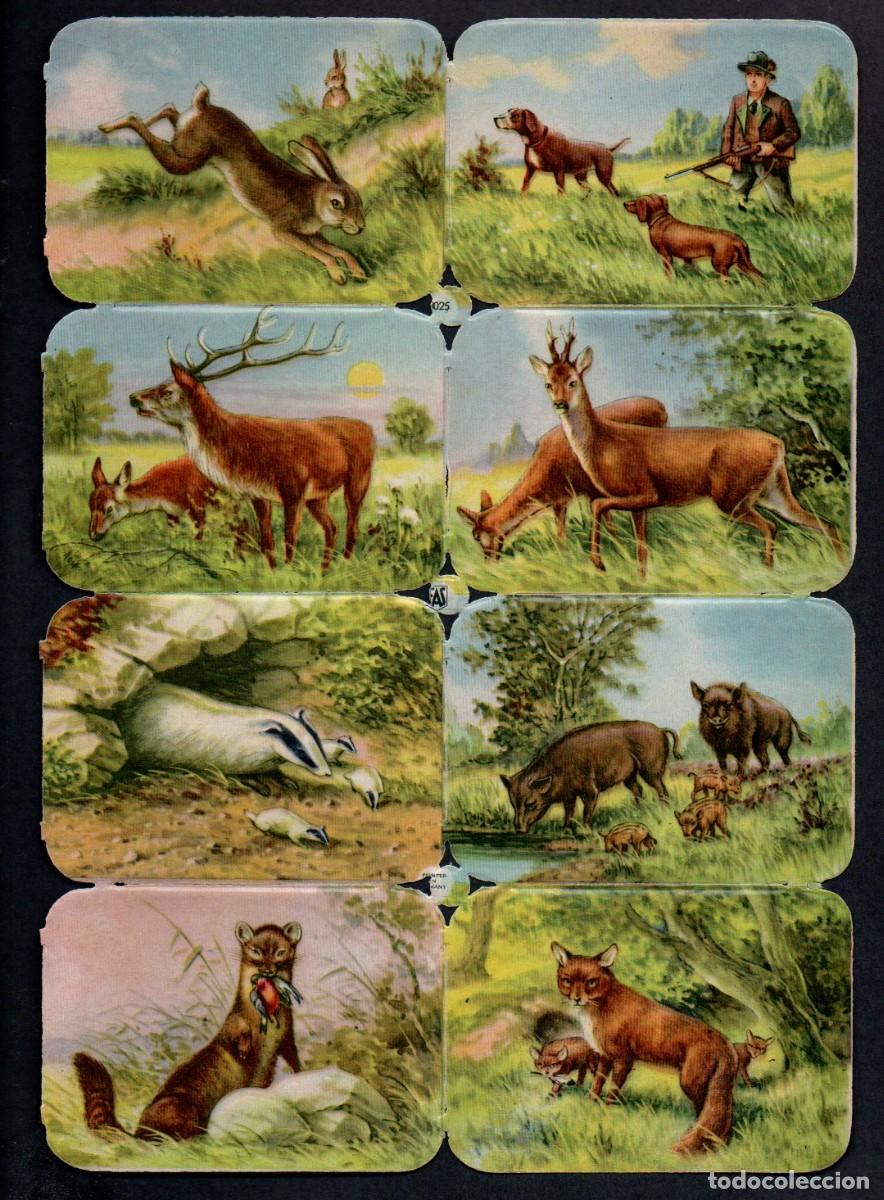 Coleccionismo cromos troquelados antiguos: CROMOS TROQUELADOS - ANTIGUA LAMINA EAS 3025 - GERMANY, 17 X 24 CM.