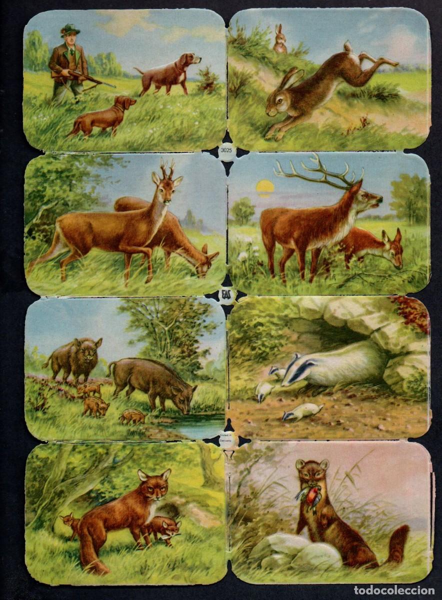 Coleccionismo cromos troquelados antiguos: CROMOS TROQUELADOS - ANTIGUA LAMINA EAS 3025 - GERMANY, 17 X 24 CM.