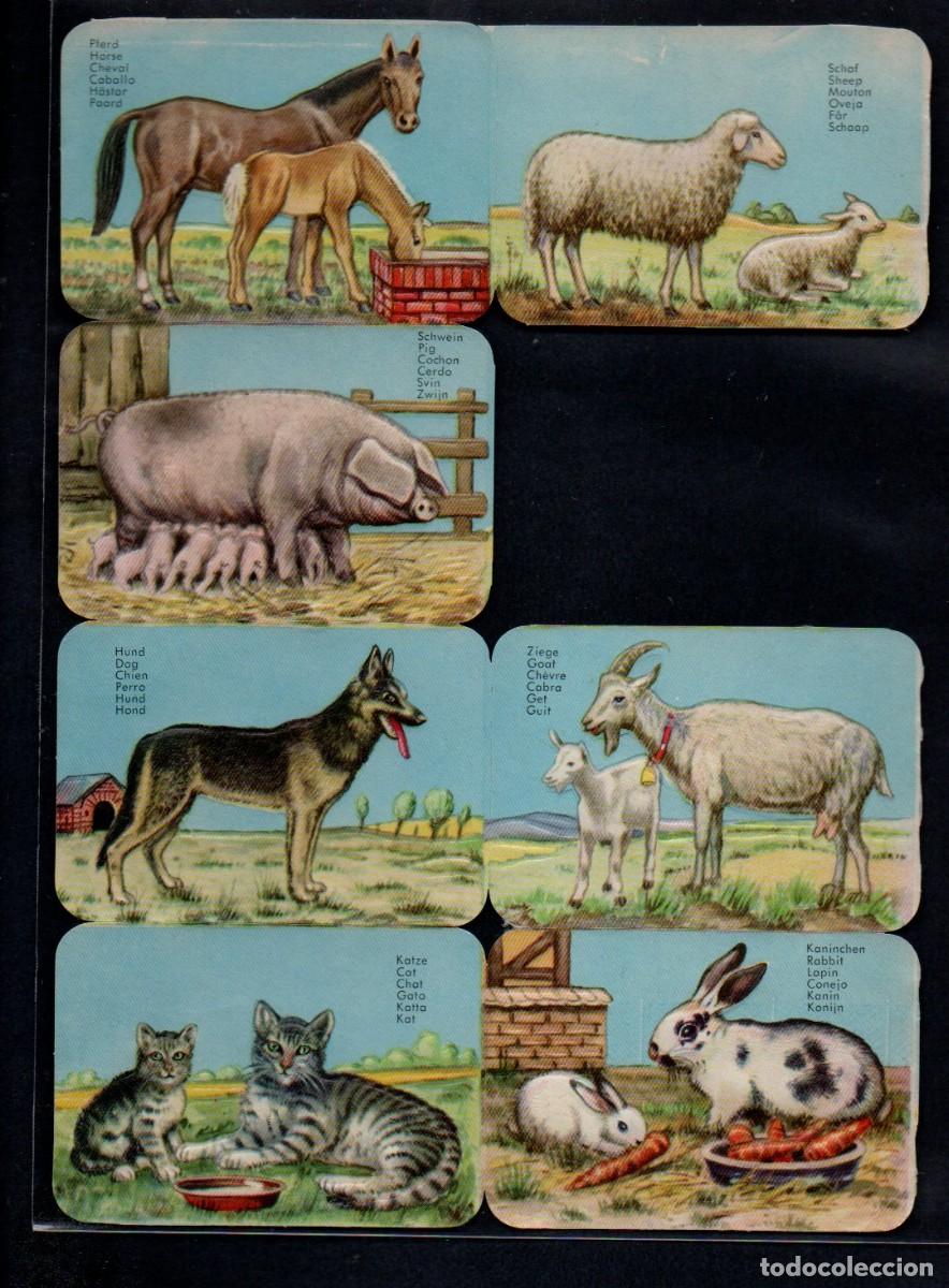 Coleccionismo cromos troquelados antiguos: CROMOS TROQUELADOS - ANTIGUA LAMINA EAS 3115 - GERMANY, CON RELIEVE. 17 X 24 CM. INCOMPLETA.