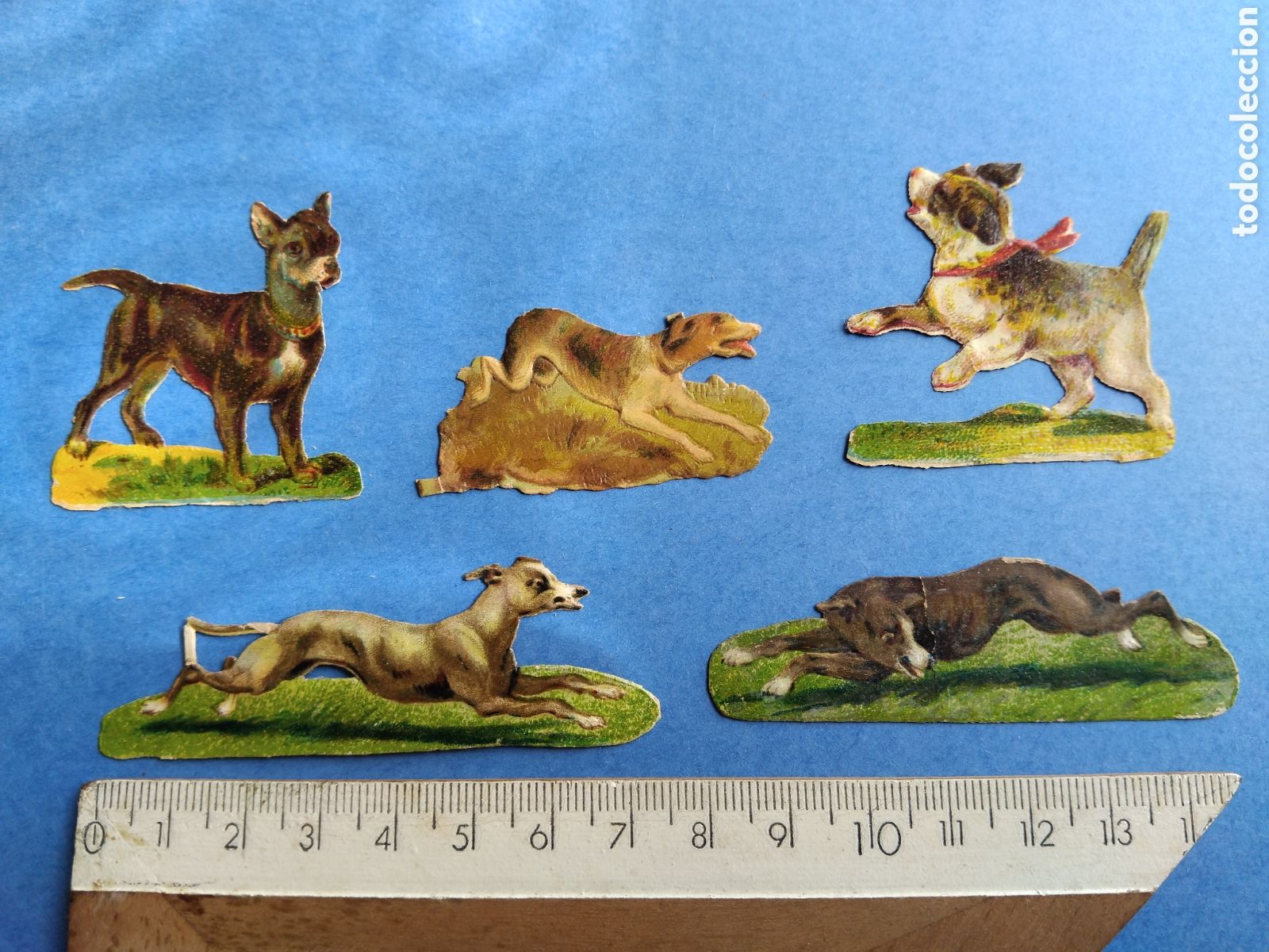 Coleccionismo cromos troquelados antiguos: Cromos troquelados, perros - Foto 1
