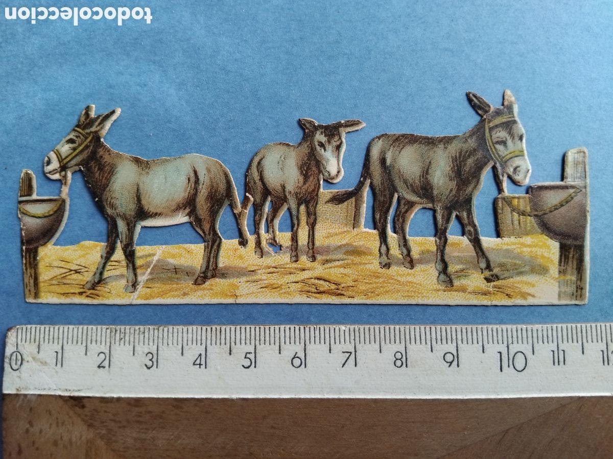 Coleccionismo cromos troquelados antiguos: Cromo troquelado, burros