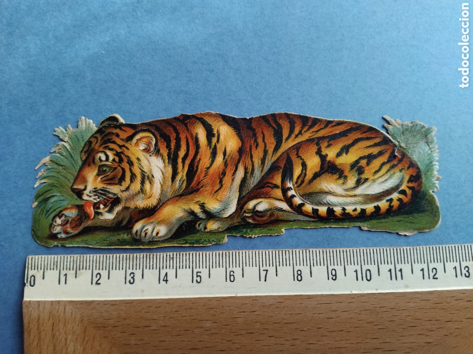 Coleccionismo cromos troquelados antiguos: Cromo troquelado, tigre