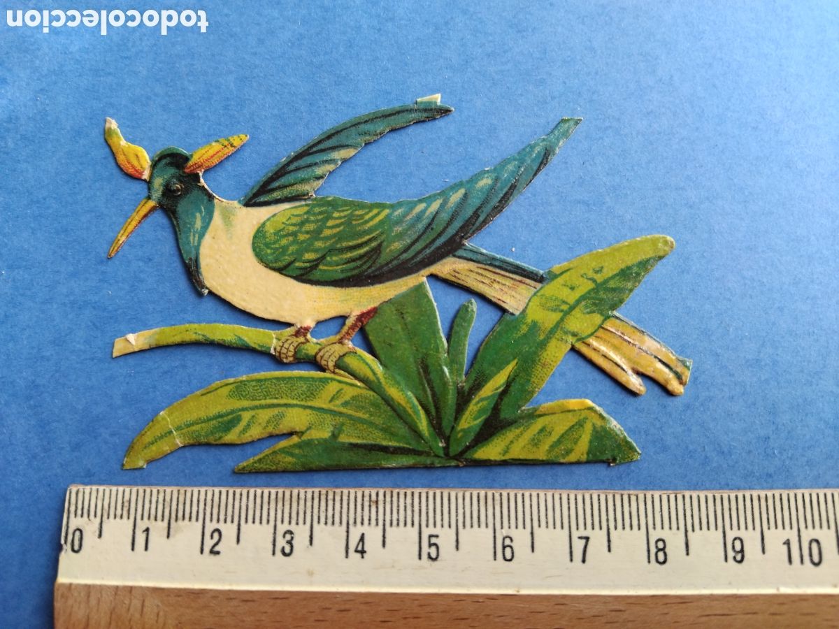 Coleccionismo cromos troquelados antiguos: Cromo troquelado, p&aacute;jaro