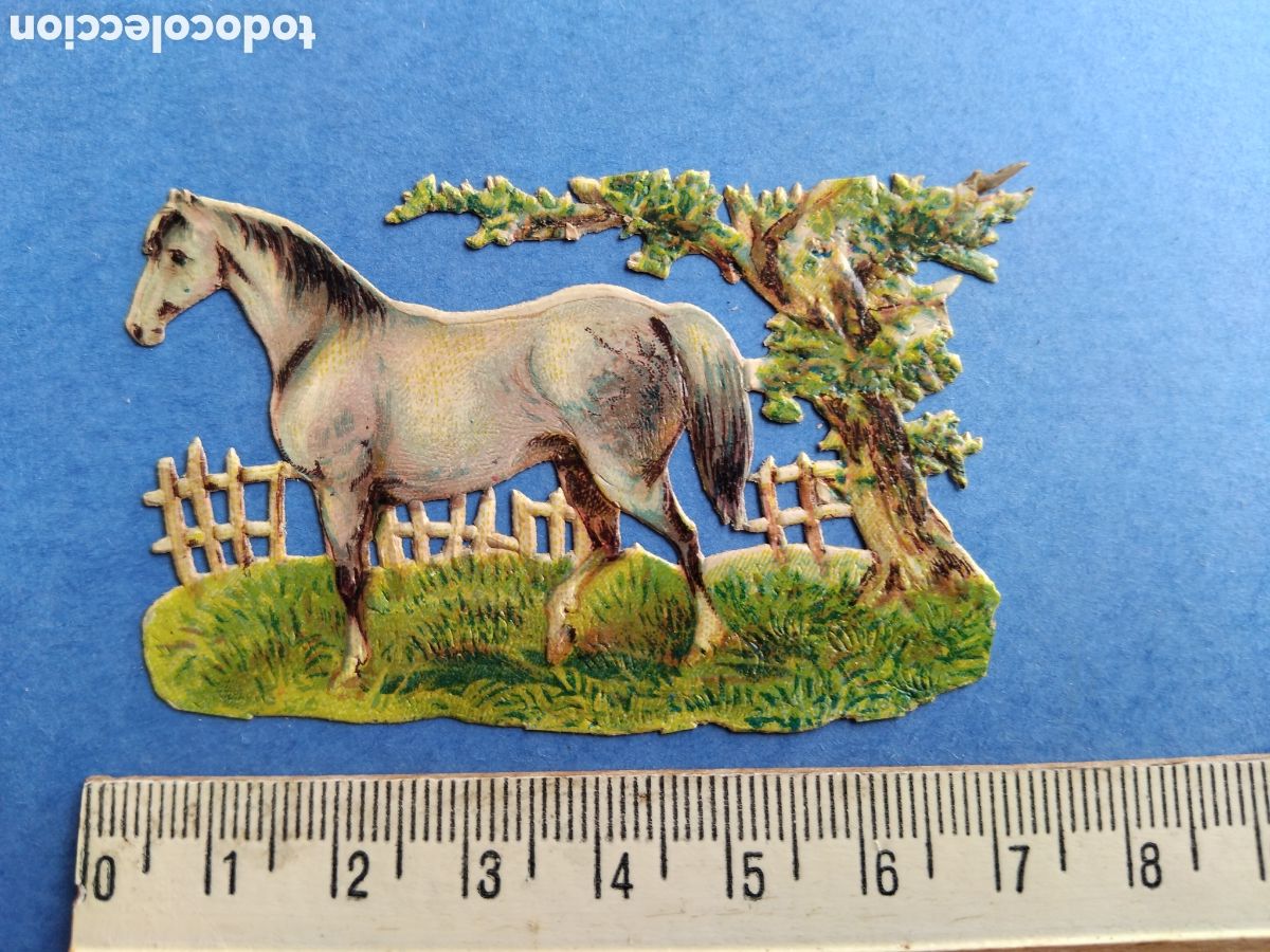 Coleccionismo cromos troquelados antiguos: Cromo troquelado, caballo