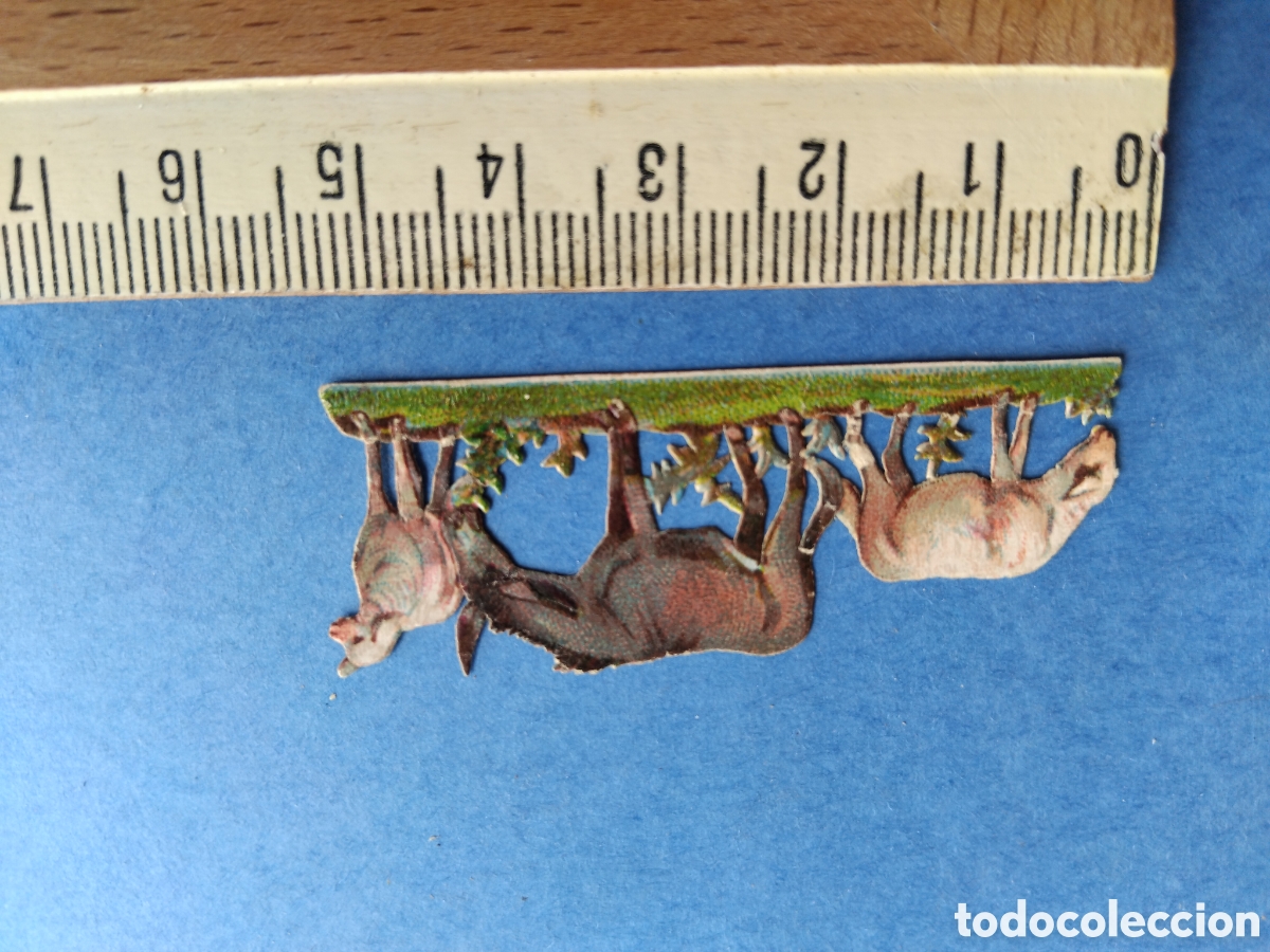 Coleccionismo cromos troquelados antiguos: Cromo troquelado, burros y ovejas