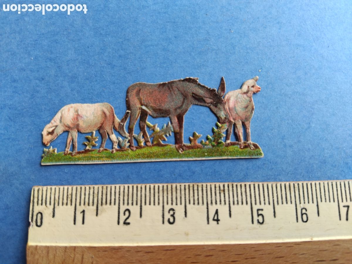 Coleccionismo cromos troquelados antiguos: Cromo troquelado, burros y ovejas