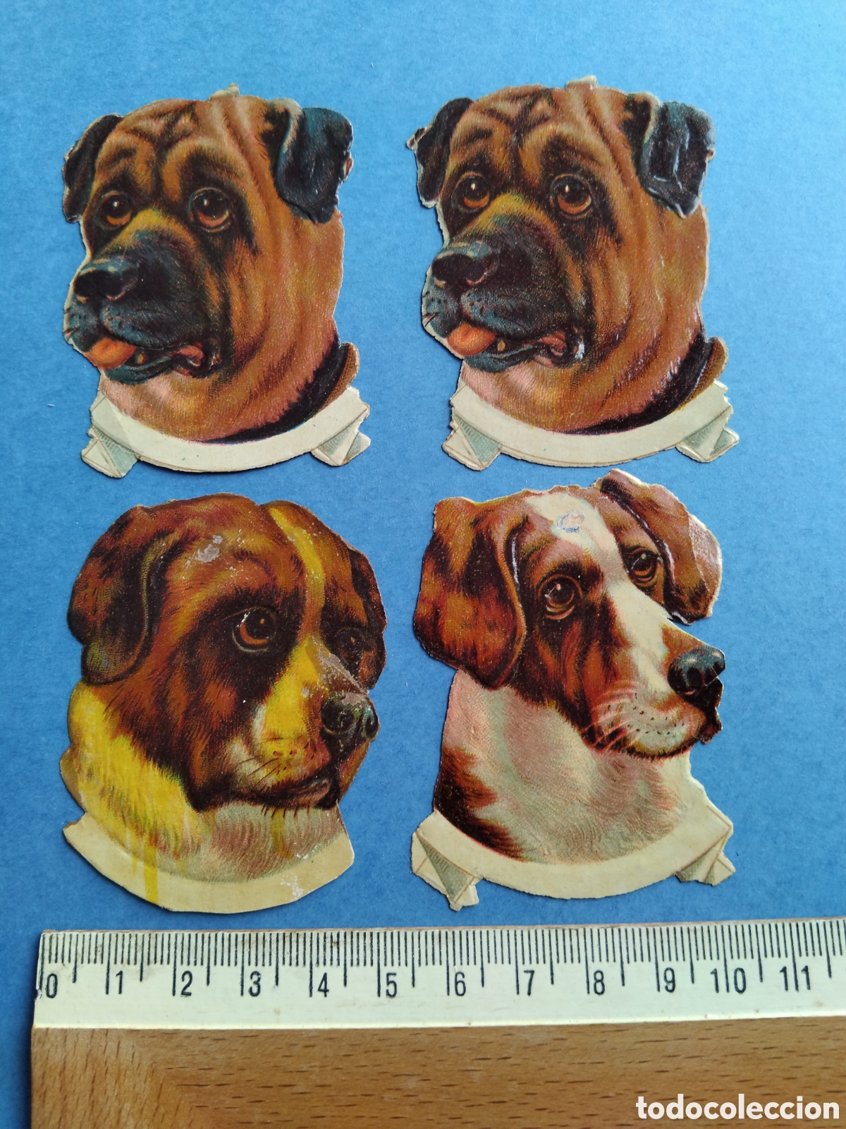 Coleccionismo cromos troquelados antiguos: Cromos troquelados, perros