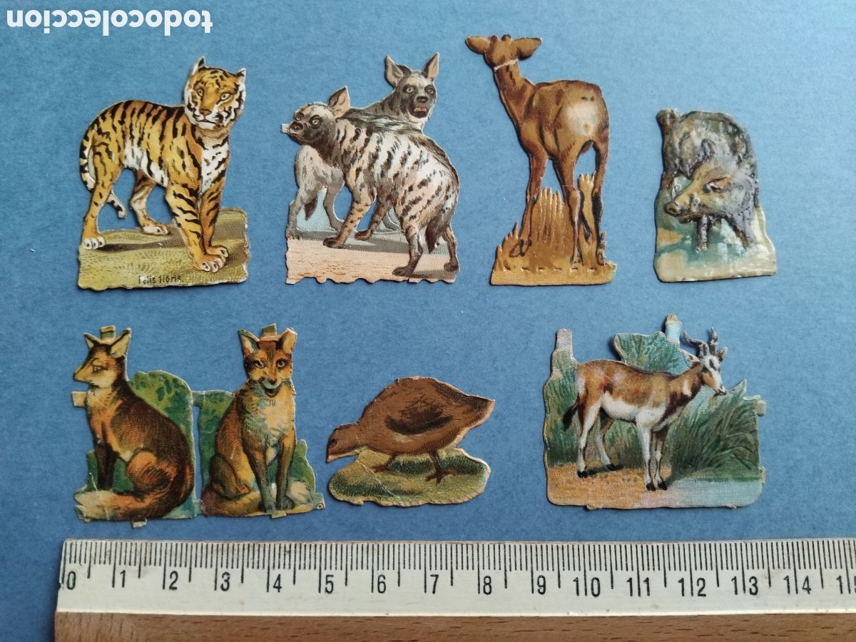 Coleccionismo cromos troquelados antiguos: Cromos troquelados, animales - Foto 1