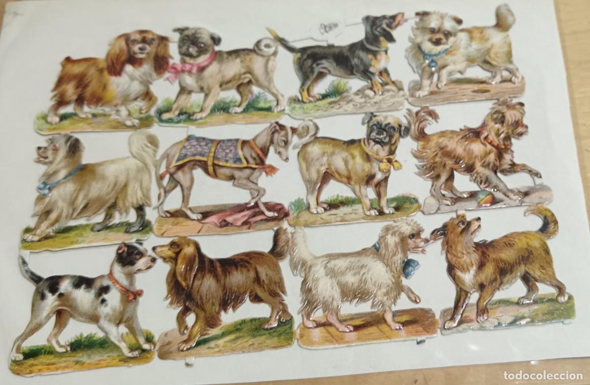 Coleccionismo cromos troquelados antiguos: L&Aacute;MINA ANTIGUA CROMOS TROQUELADOS PERROS R&S CON BRILLO Y RELIEVE 16,5X11,5 CM.