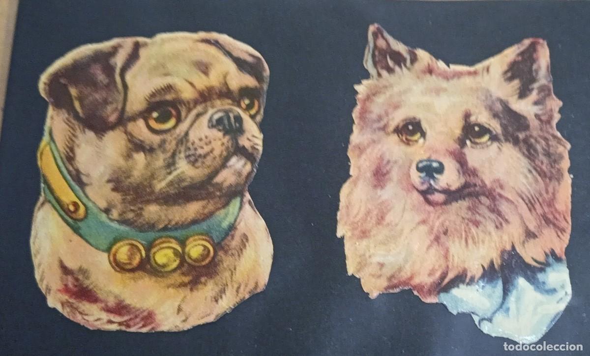 Coleccionismo cromos troquelados antiguos: LOTE DE 2 CROMOS ANTIGUOS TROQUELADOS CON RELIEVE PERROS 7X5 CM.