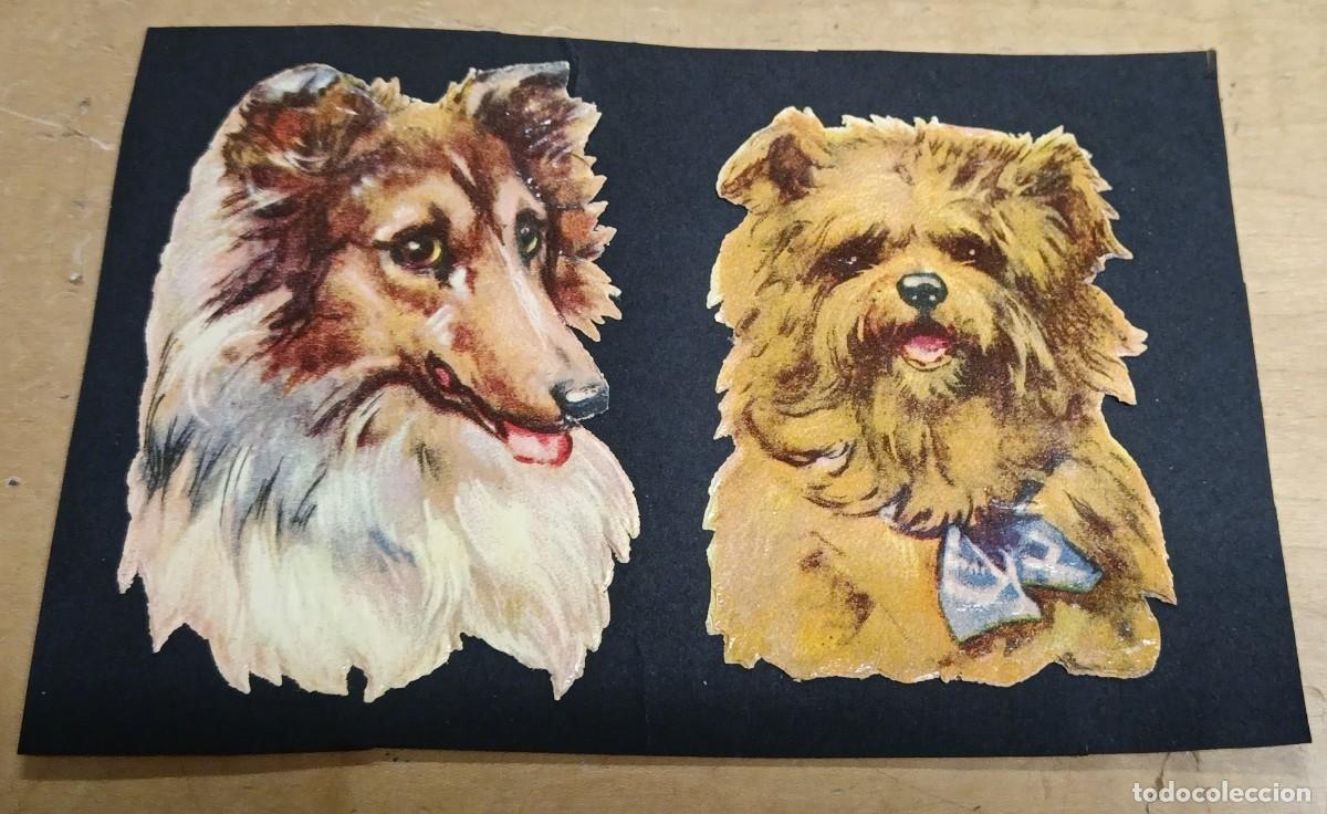 Coleccionismo cromos troquelados antiguos: LOTE DE 2 CROMOS ANTIGUOS TROQUELADOS CON RELIEVE PERROS 8X6 CM.
