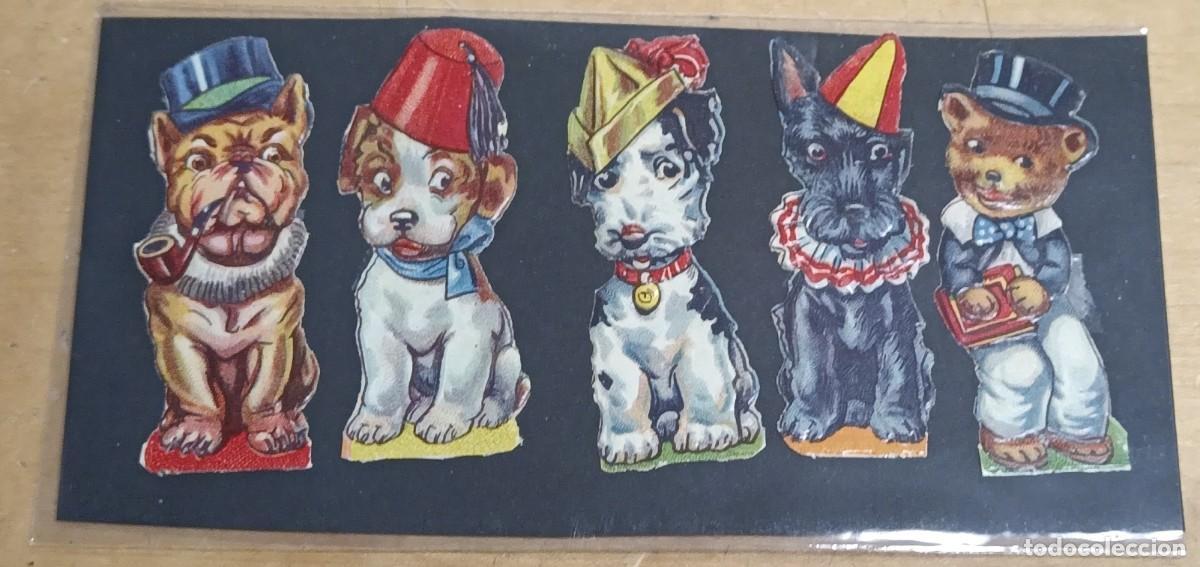 Coleccionismo cromos troquelados antiguos: LOTE DE 5 CROMOS ANTIGUOS TROQUELADOS CON RELIEVE ANIMALES 5,5 CM. ALTURA