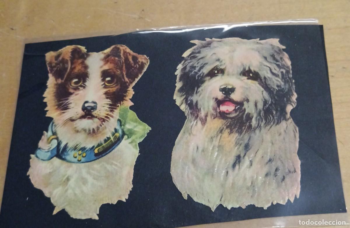 Collectionnisme Cartes &agrave; collectionner massicot&eacute;es anciennes: LOTE DE 2 CROMOS ANTIGUOS TROQUELADOS CON RELIEVE PERROS 8 CM. ALTURA