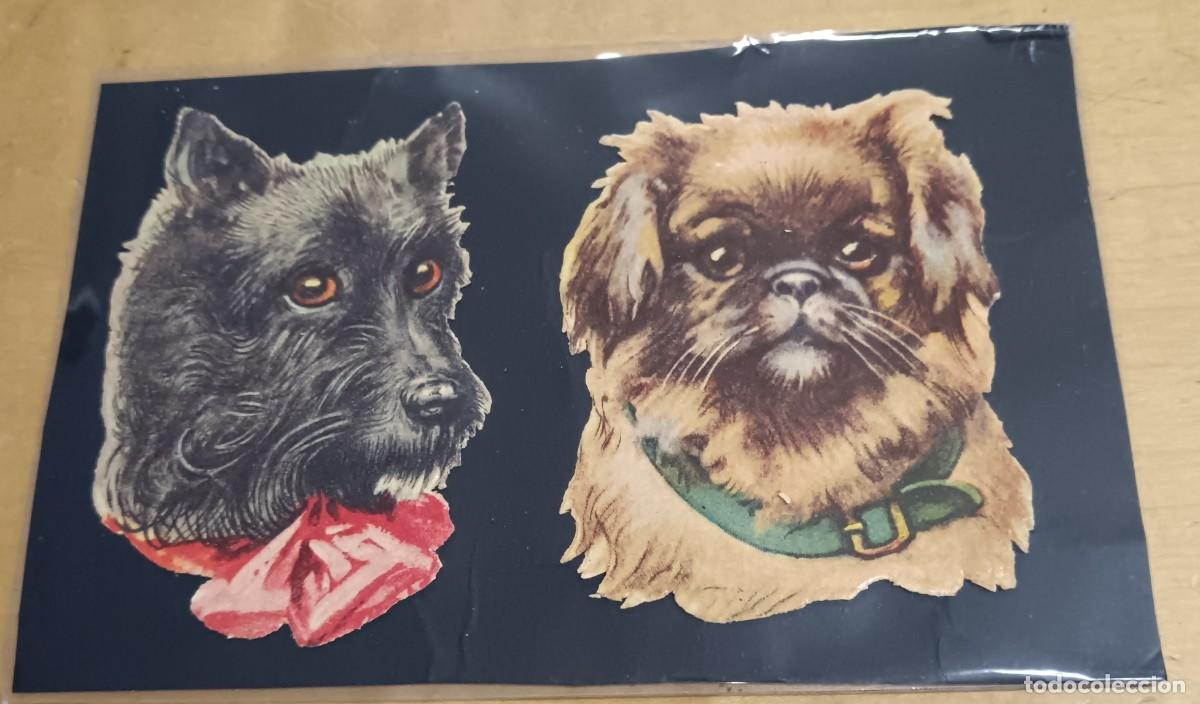 Coleccionismo cromos troquelados antiguos: LOTE DE 2 CROMOS ANTIGUOS TROQUELADOS CON RELIEVE PERROS 7,5 CM. ALTURA